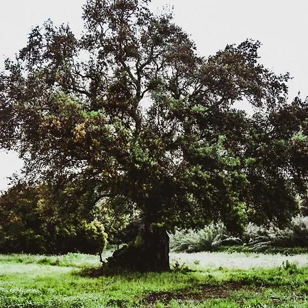 Casa Campione דירה רוקסטראדה