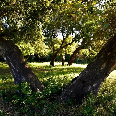 Casa Campione * רוקסטראדה