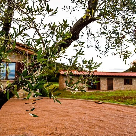 Casa Campione Apartment Roccastrada